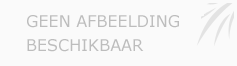 Afbeelding › BV  BALLONVAARTEN THYS